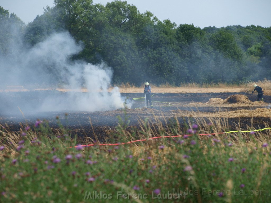 Bodenfeuer ausgeloest durch Strohballenpresse Koeln Holweide Colonia Allee P34.JPG